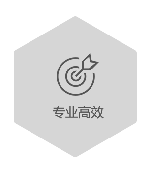 專(zhuān)業(yè)高效